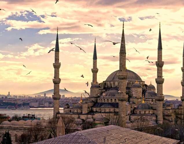 DAILY  TOURS FROM ISTANBUL
