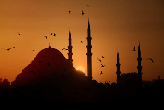 HALF DAY BOSPHORUS CRUISE AND DOLMABAHCE  TOUR